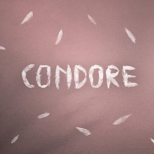 Condore
