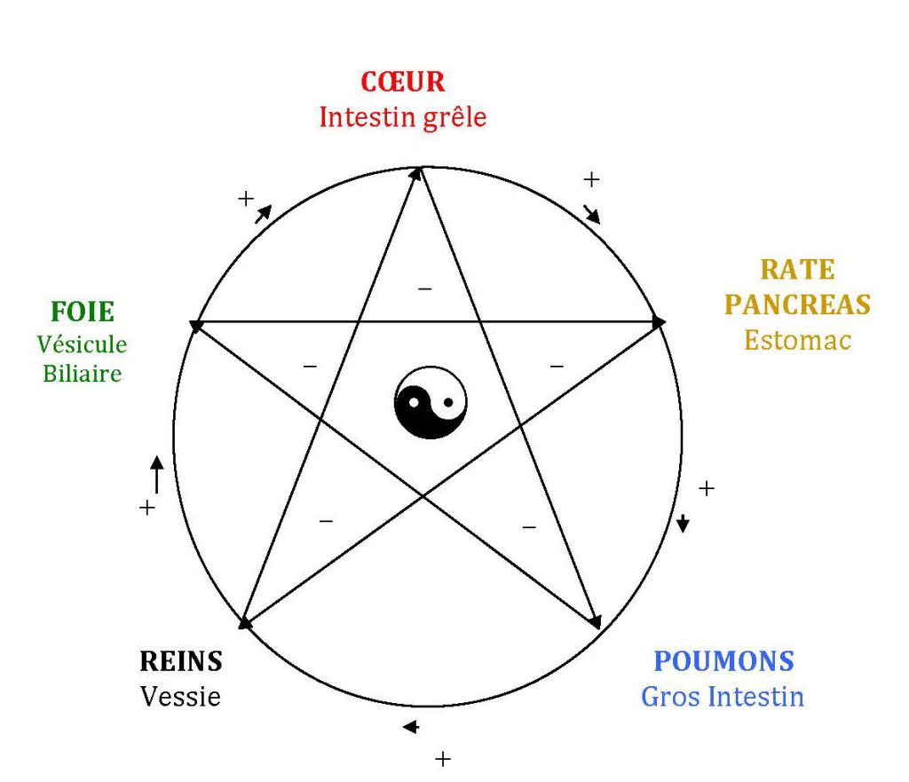 La force de l'amour Le RIME Réseau International du MieuxÊtre La force de l'amour Le RIME Réseau International du MieuxÊtre
