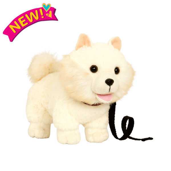 our generation ragdoll kitten