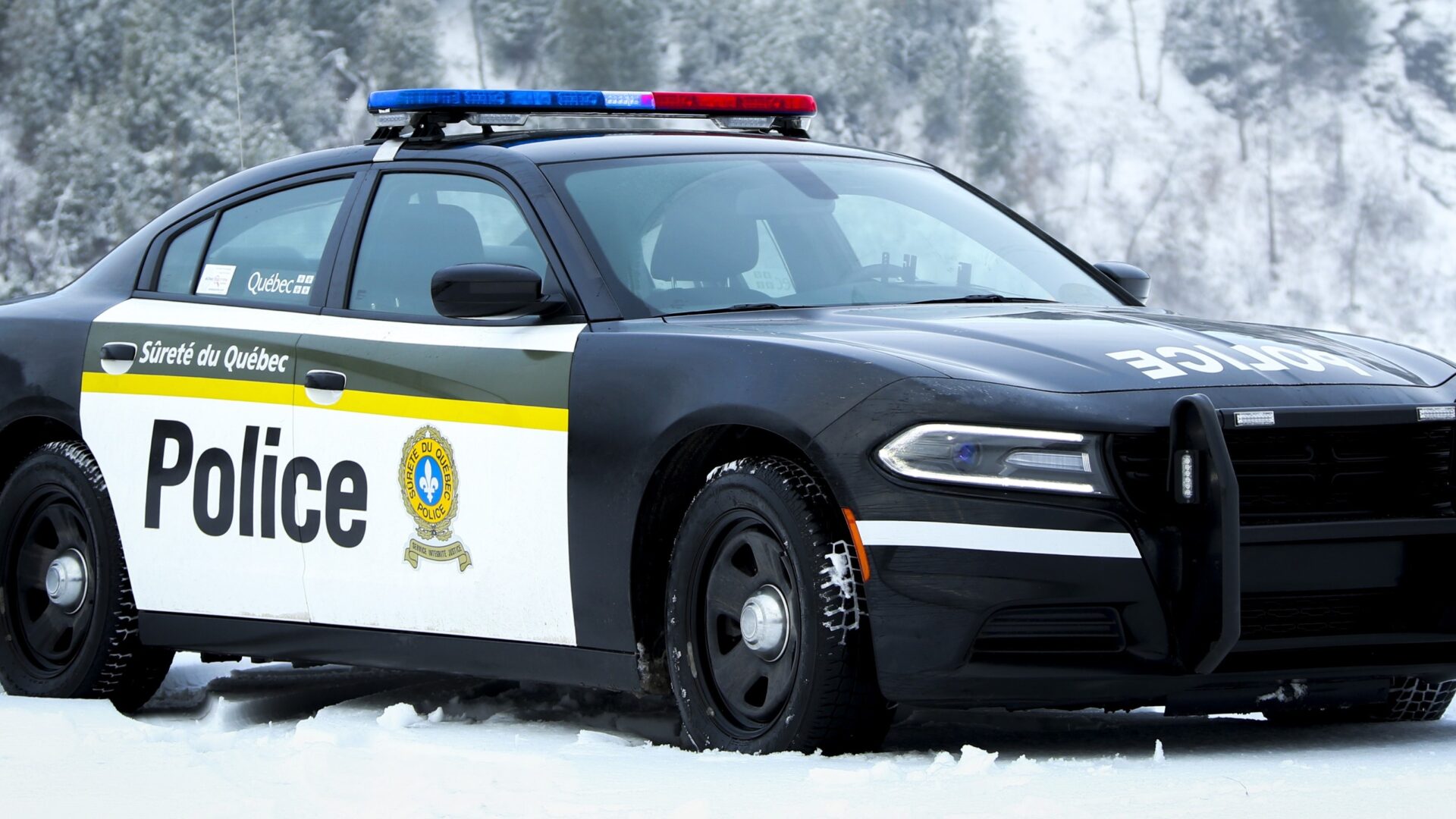 (Photo gracieuseté)