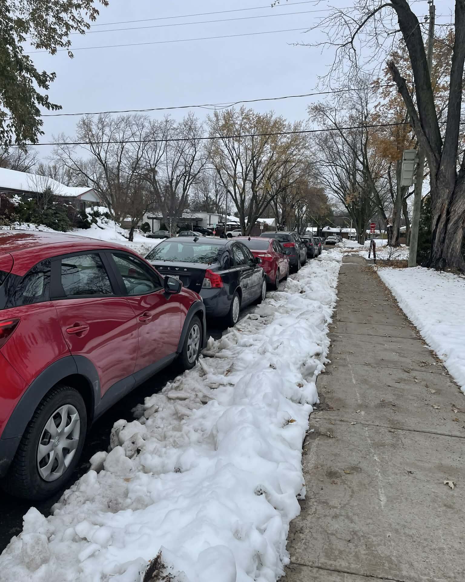 (Photo gracieuseté - Alexis Petrucci)