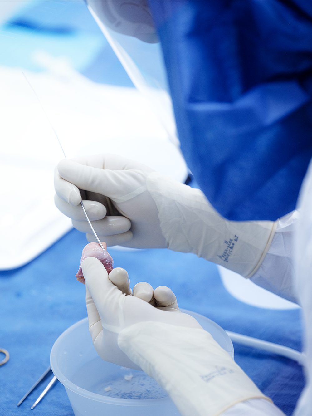 Chaque donneur a le pouvoir de changer la vie de 20 personnes. Photo gracieuseté.