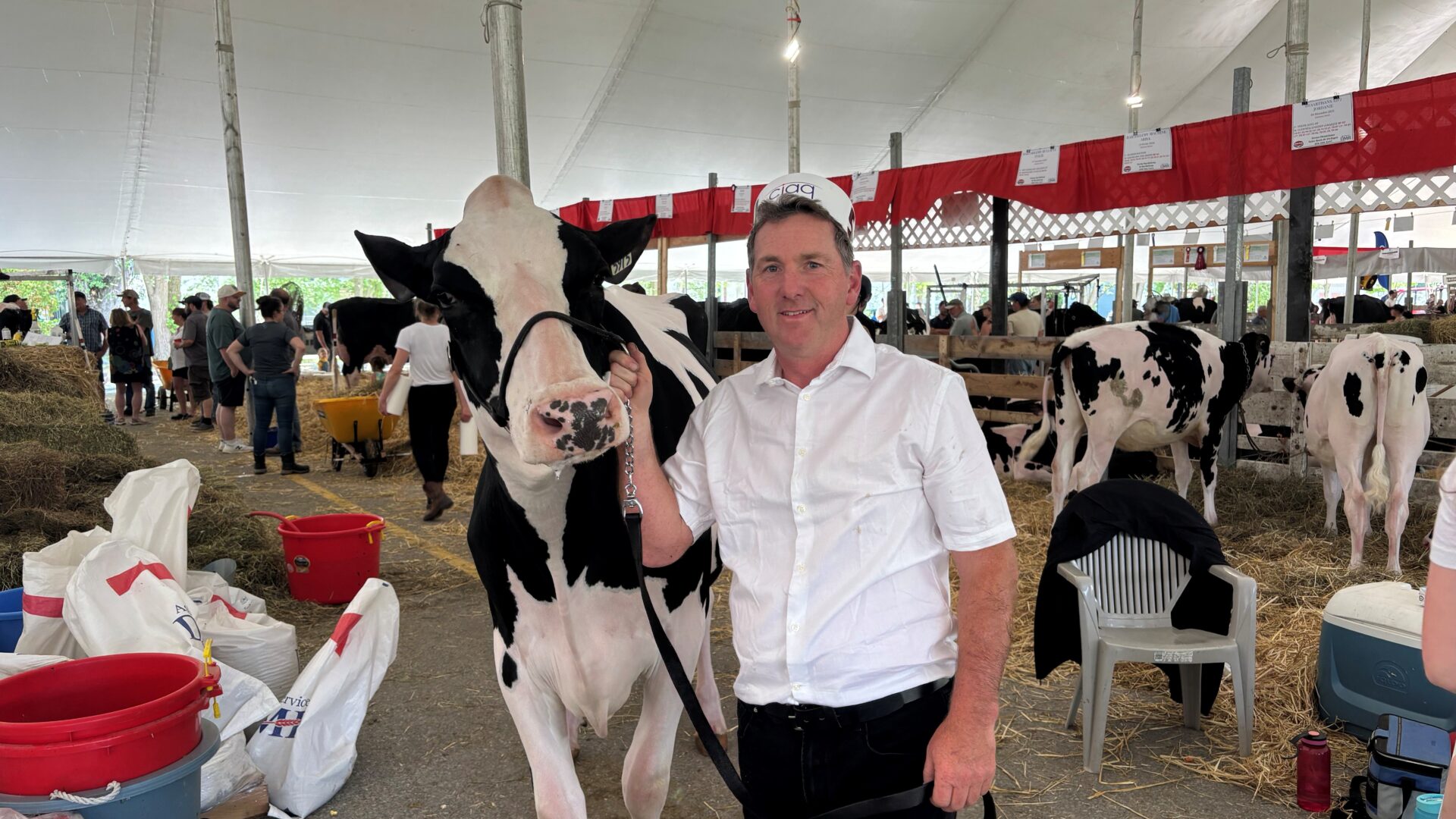 Les jugements de bovins  ont attiré une foule énorme. Photo Médialo - Pierre Chartier.