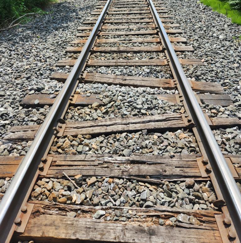 Les enquêteurs ont examiné la voie ferrée dans le secteur du déraillement. Photo gracieuseté BST.