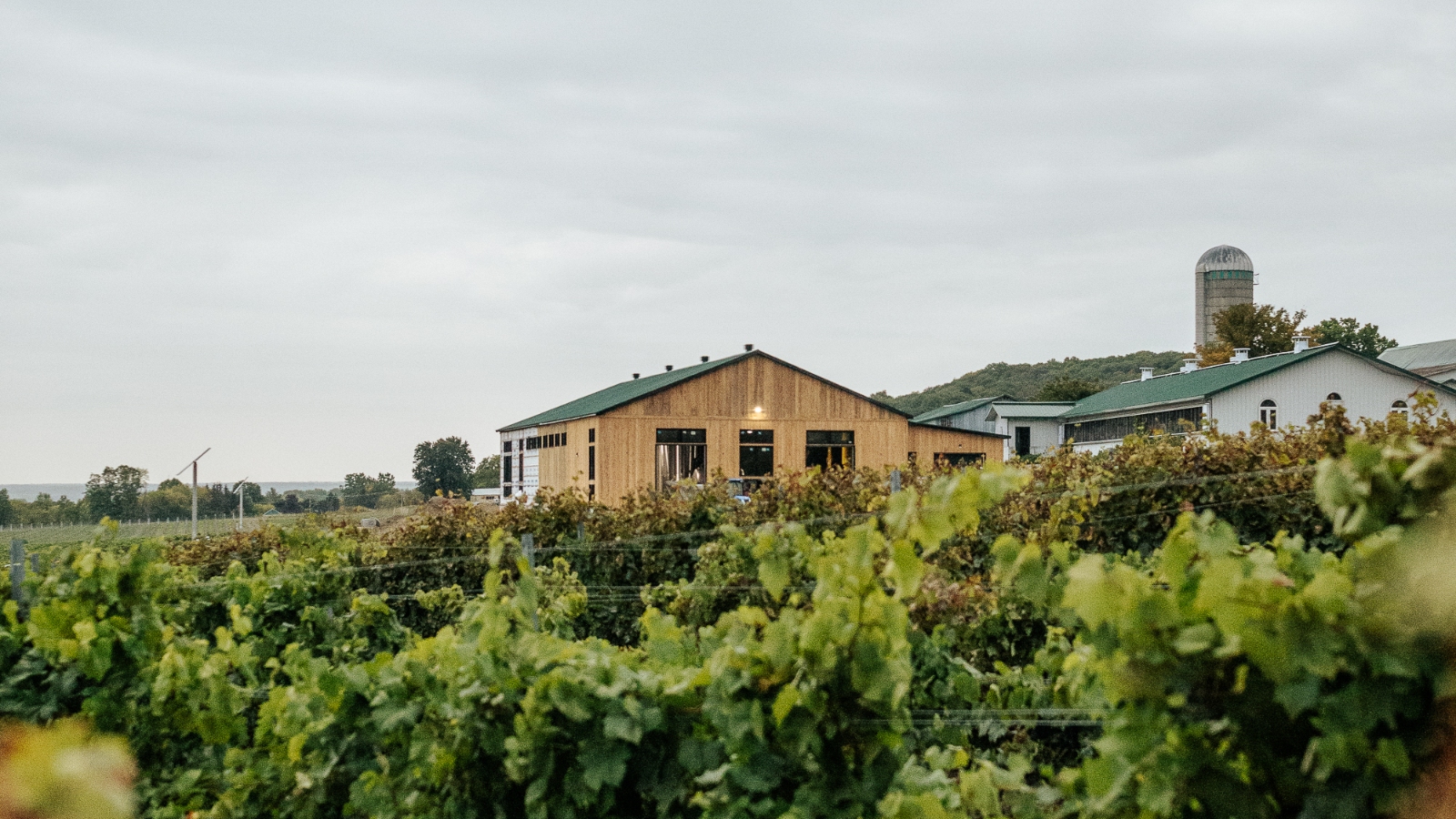 Vignoble La Cantina (Photo : Vignoble La Cantina)