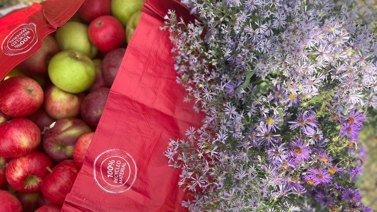 (Photo : Verger Croque-Pomme)