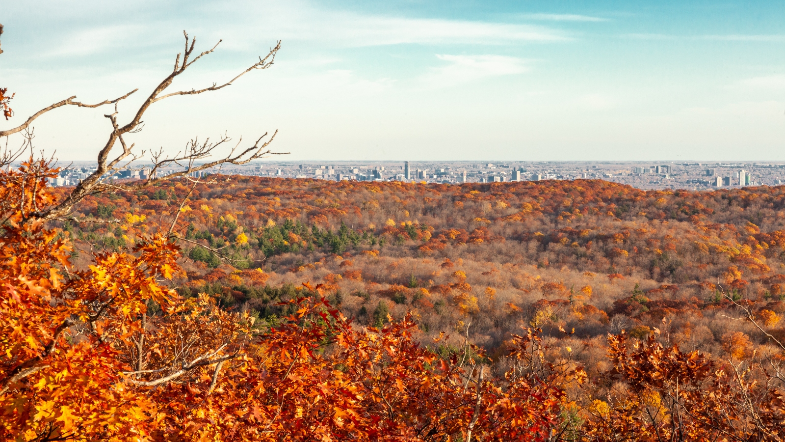 Le parc de la Gatineau lors du Coloris automnal de la CNN. (Photo : CNN)