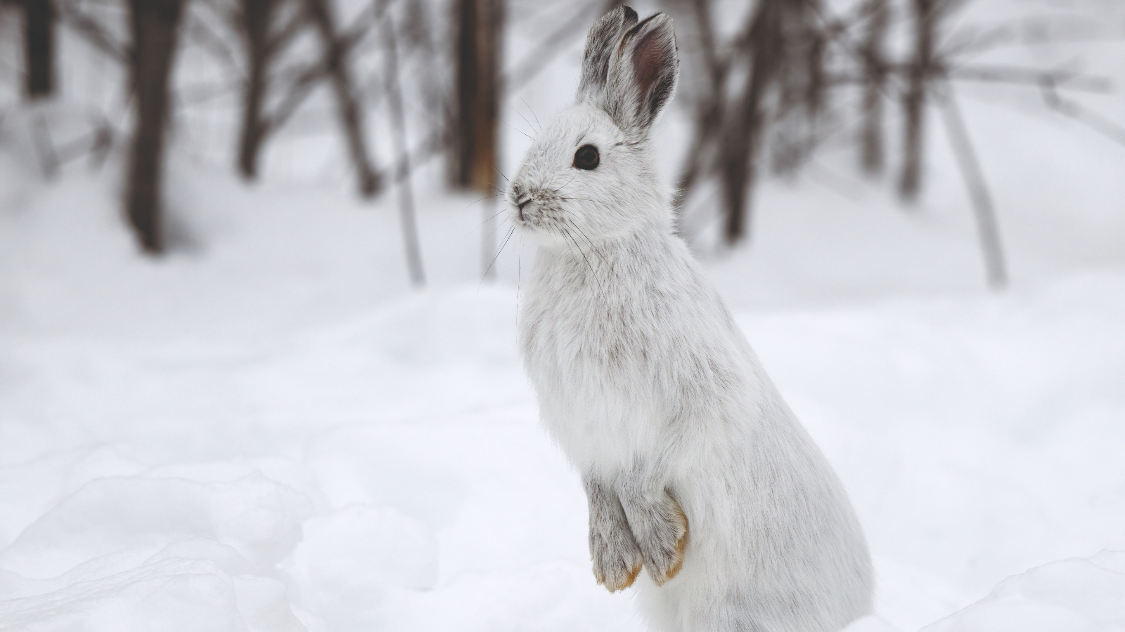 (Photo : Adobe Stock)