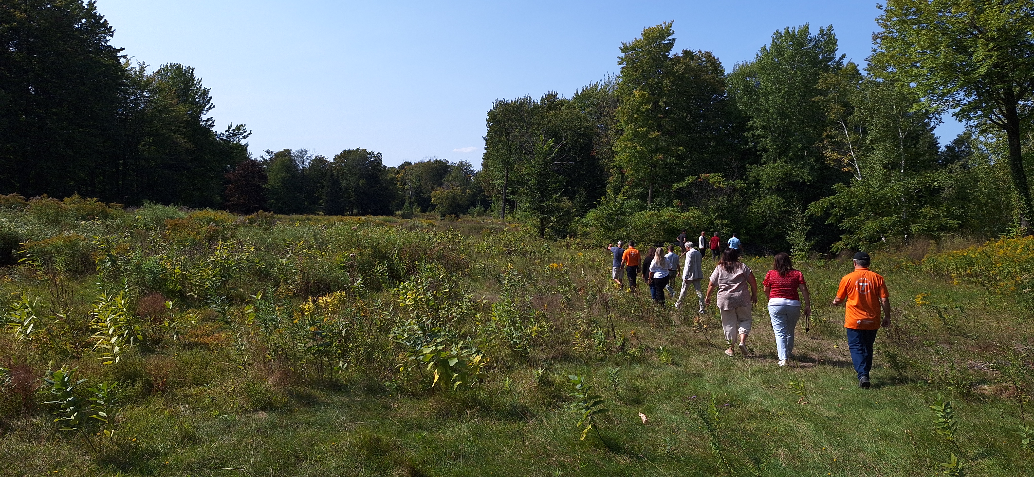 Ancien trou 1 du golf le boisé