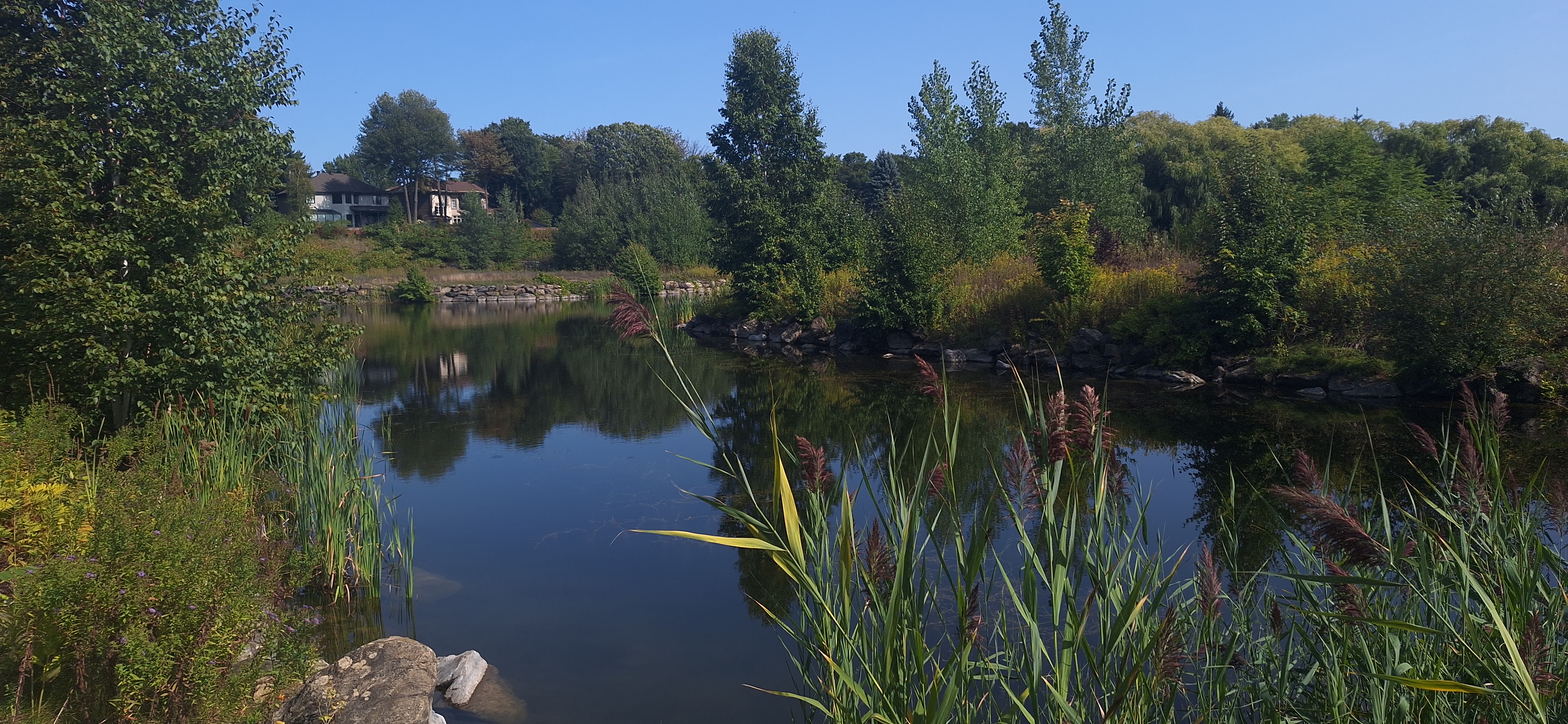 étangs artificiels du golf le boisé