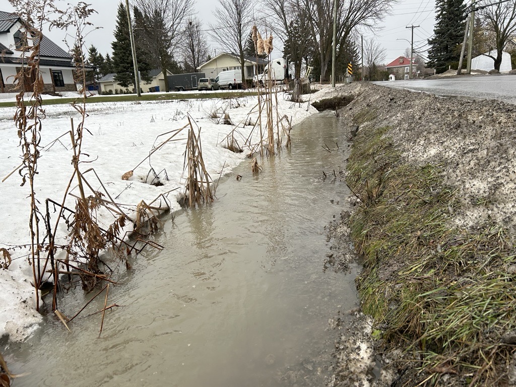 Photo Médialo - Sabrina Quesnel-Bolduc