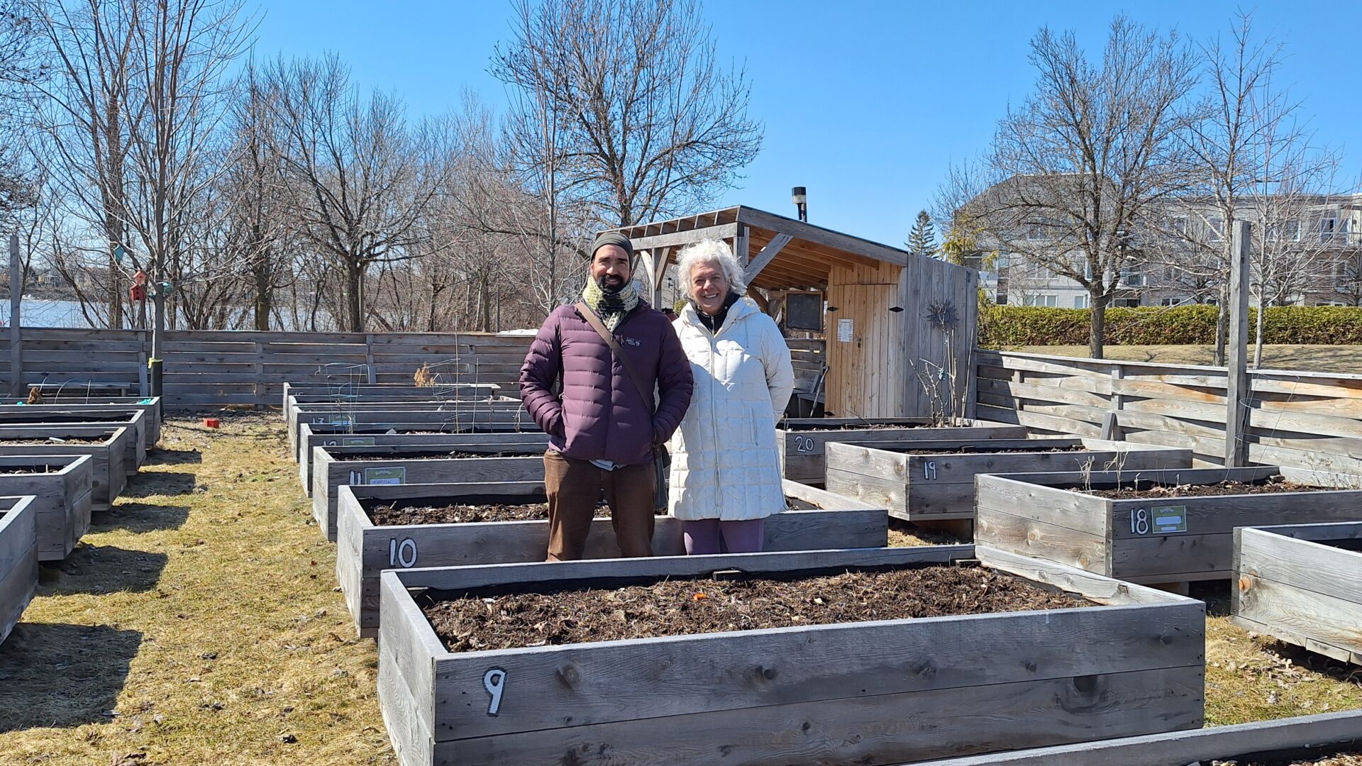 François Lavoie et Angela Montemiglio dans le jardin communautaire du parc Donat-Bélisle. Photo Médialo - Raphaël Isselet 