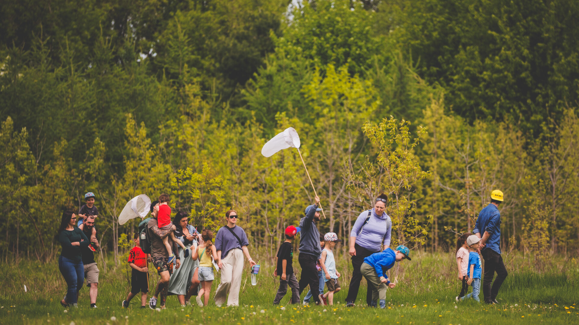 Les participants ont pu notamment partir à la recherche des insectes du parc. (Photo gracieuseté)