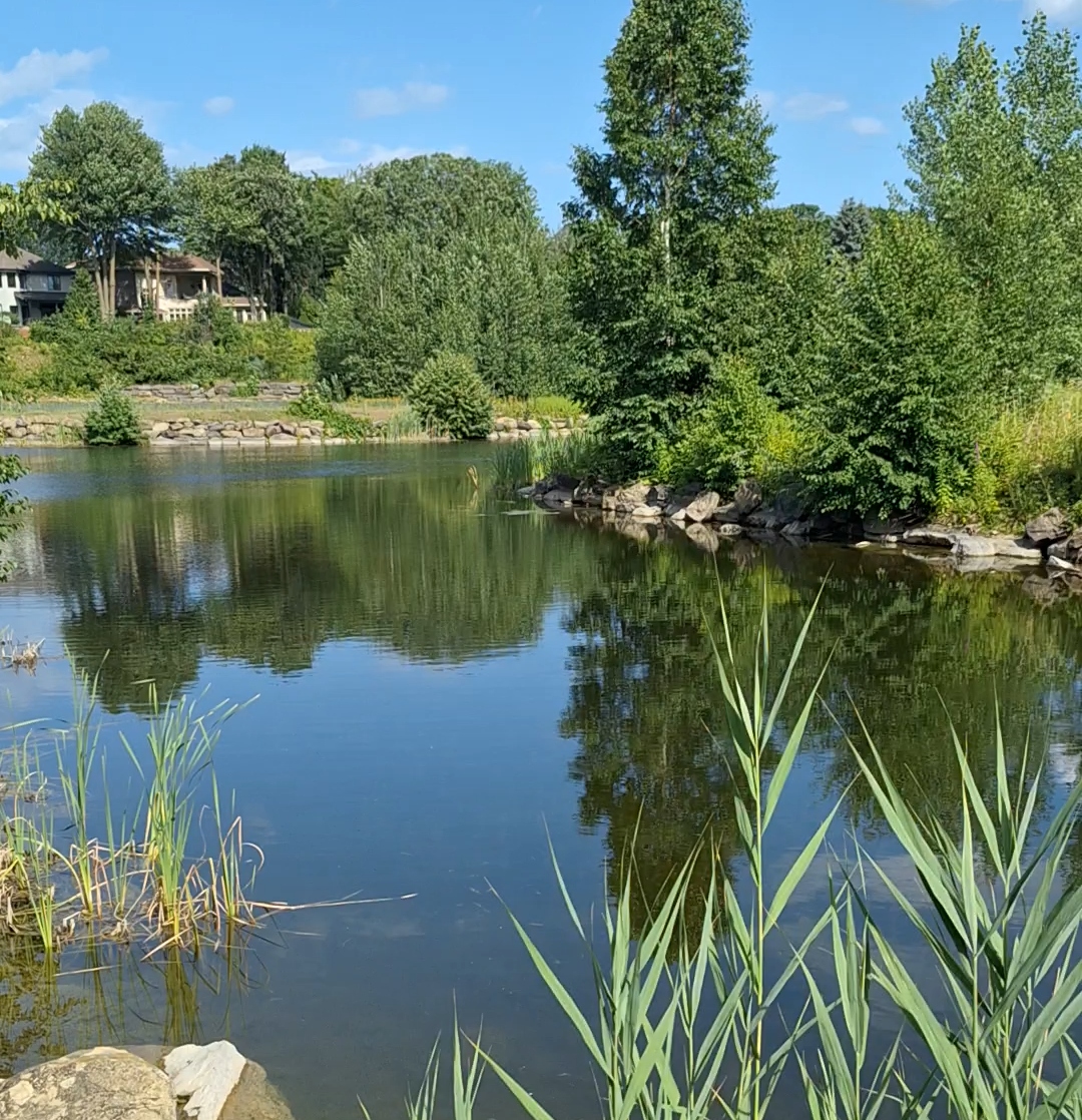 parc du boisé