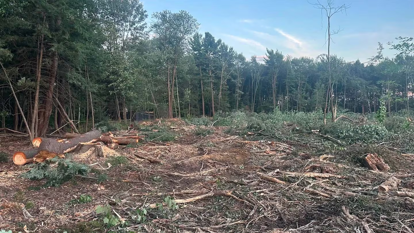 Les travaux de déboisement ont commencé sur le terrain à l'angle de l'avenue de l'Esplanade et du chemin des Anglais. (Photo tirée du groupe Facebook Spotted Mascouche)