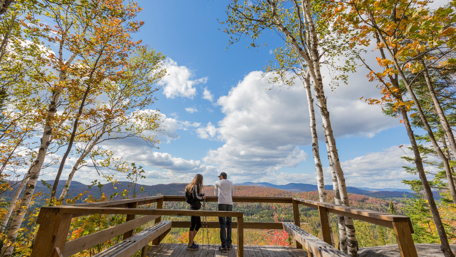 Le parc régional de la forêt Ouareau. Crédit Louis Coutu