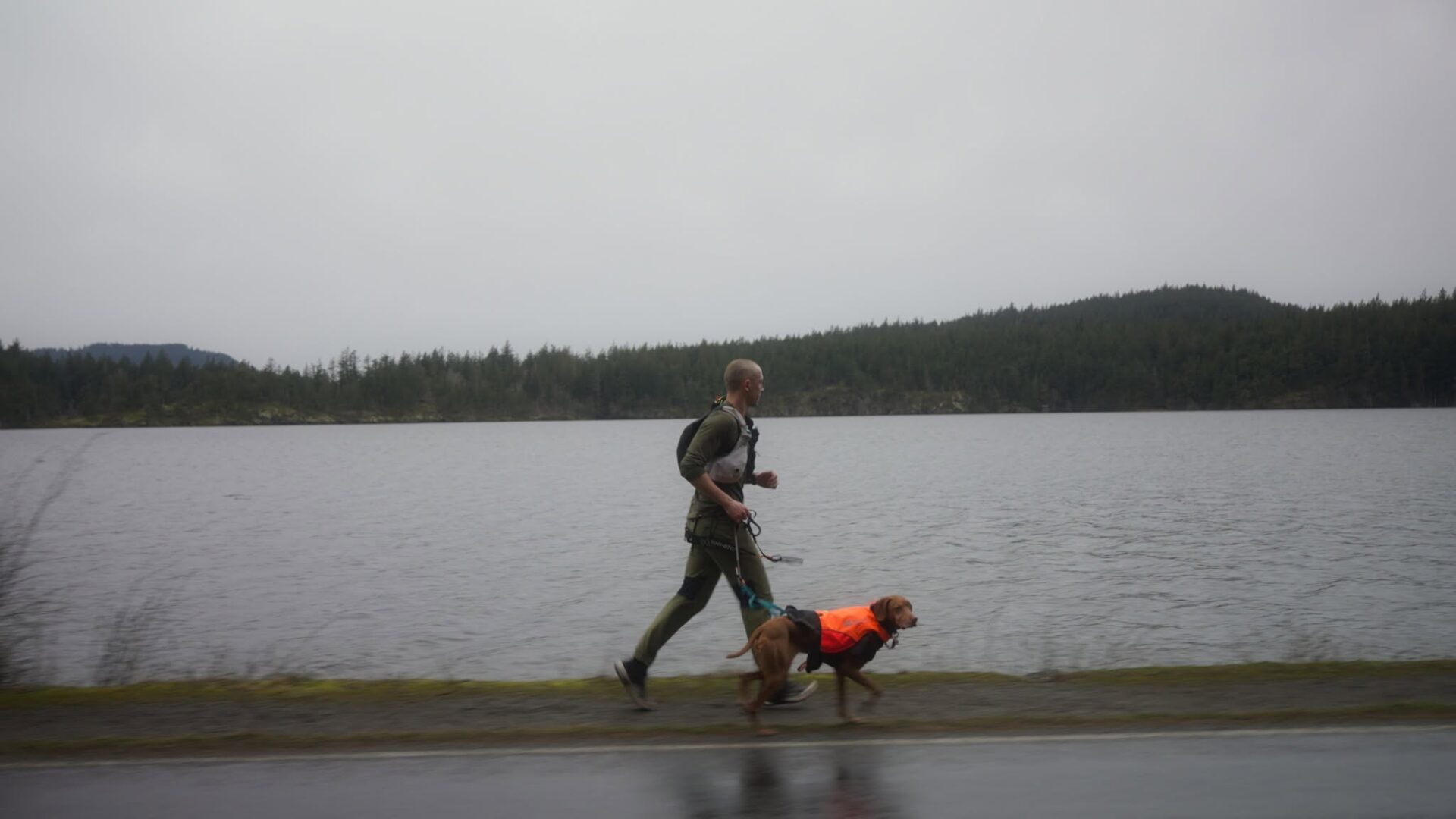 Photo du court métrage SuperNova: The 100 Mile Dog. (Photo gracieuseté - Trails in Motion Film Tour)