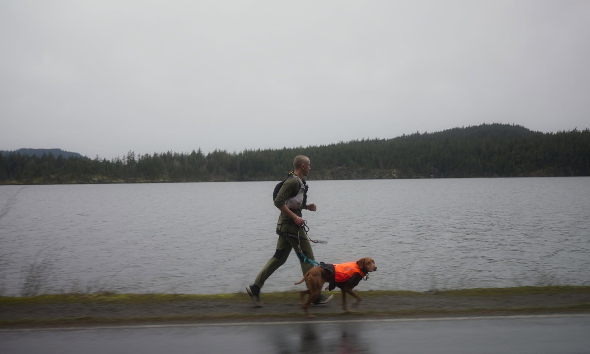 Photo du court métrage SuperNova: The 100 Mile Dog. (Photo gracieuseté - Trails in Motion Film Tour)
