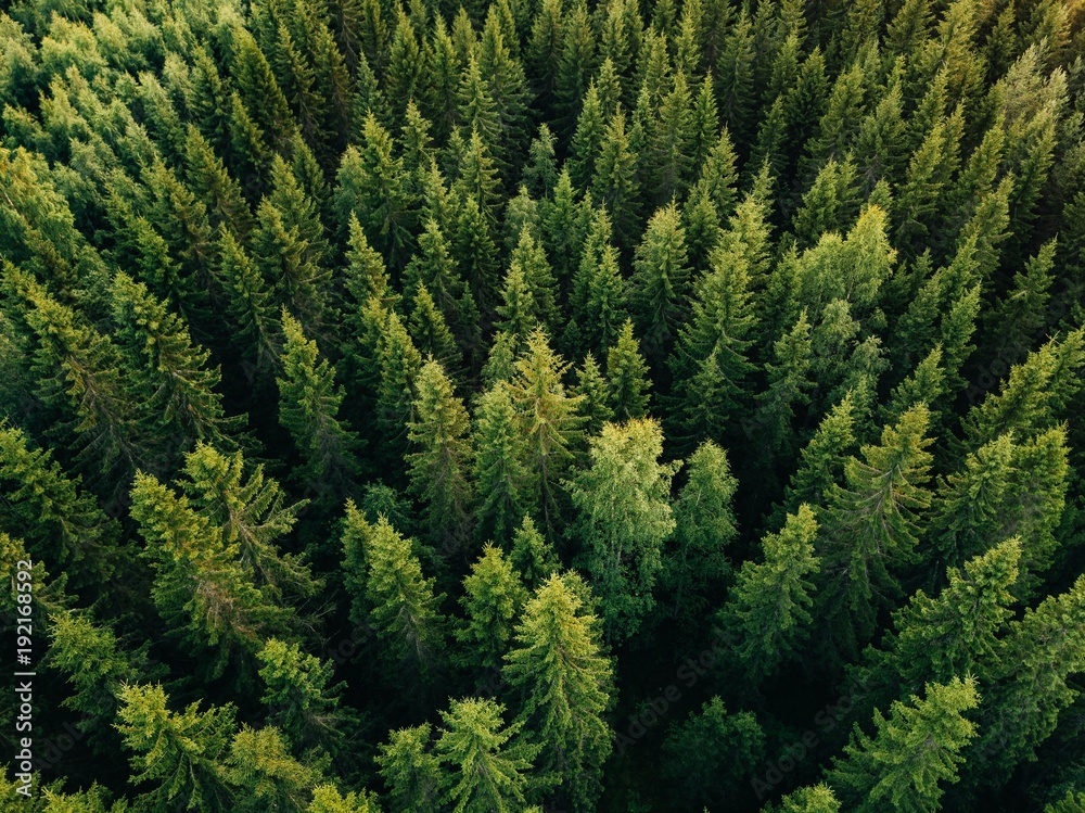 (Photo Adobe Stock)