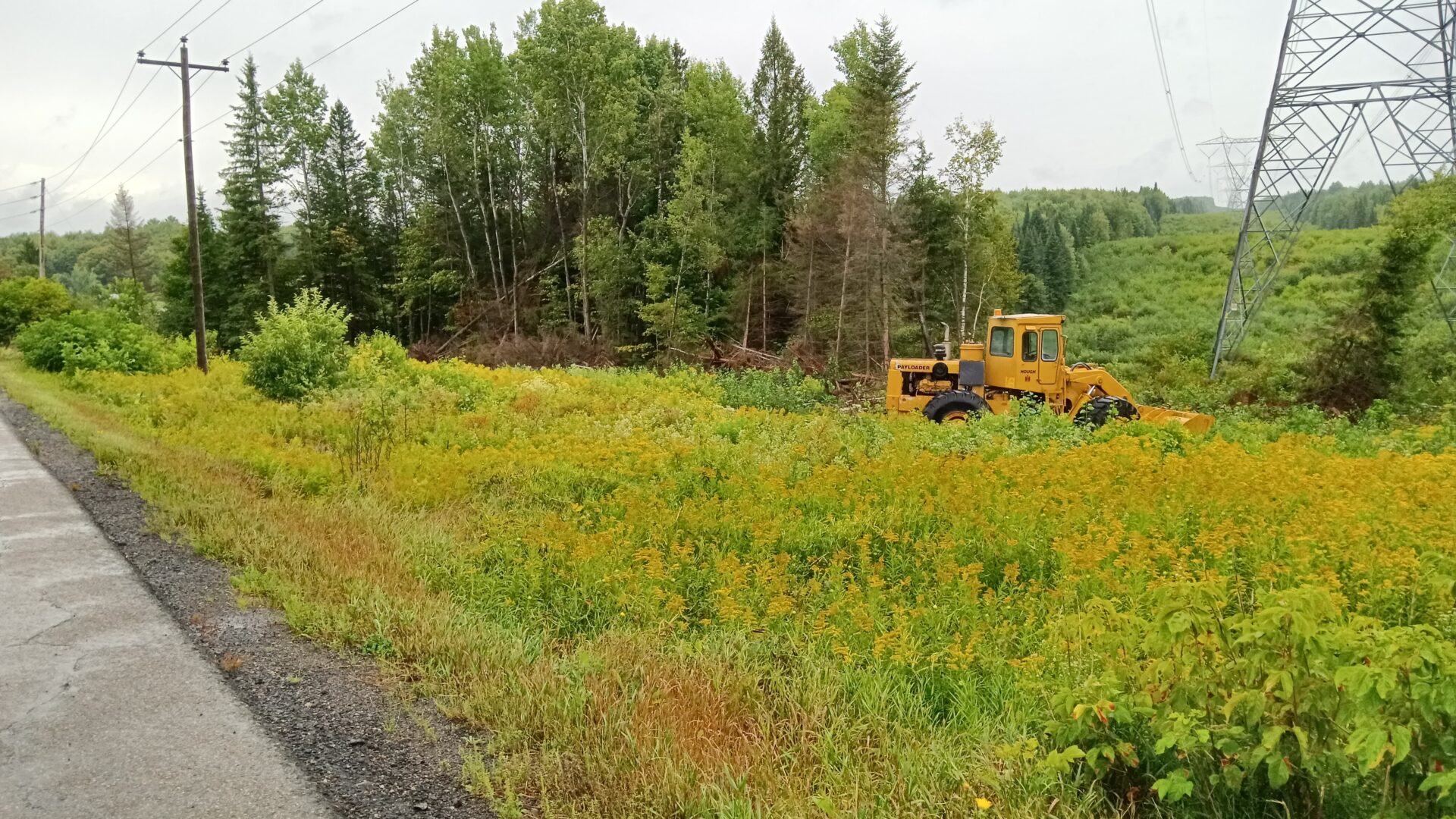 Une ligne électrique qui traverse la route 347. (Photo gracieuseté)