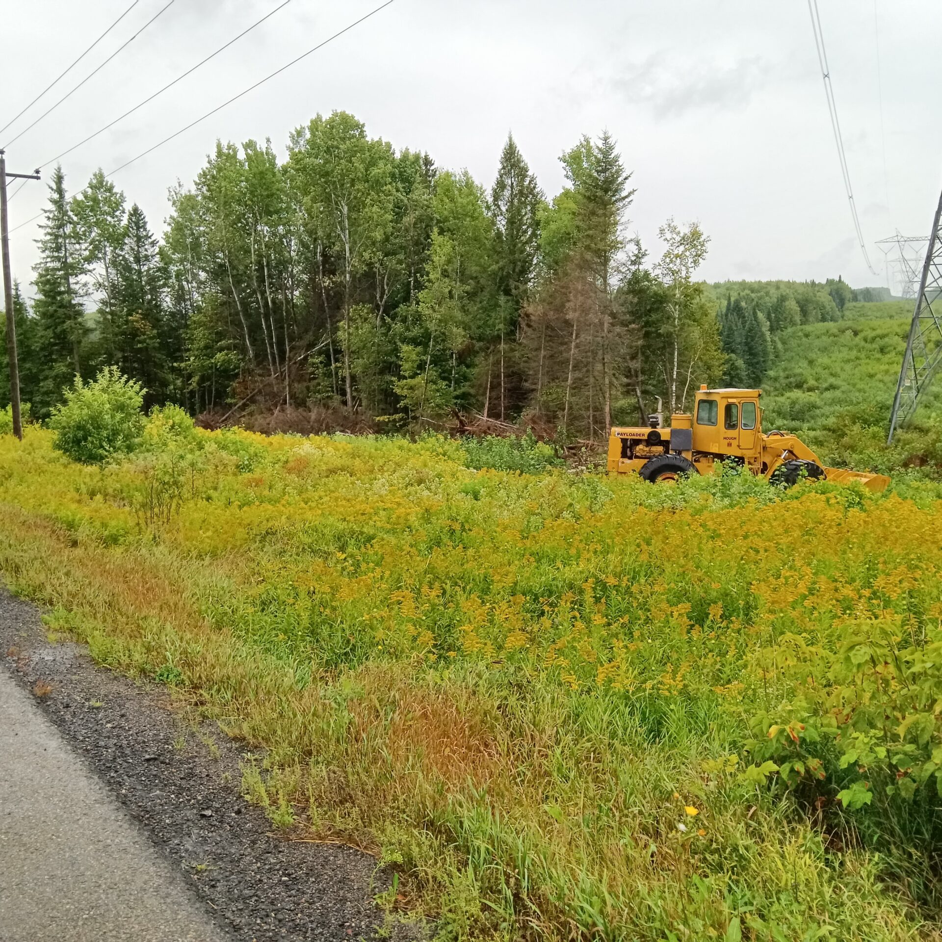 Une ligne électrique qui traverse la route 347. (Photo gracieuseté)