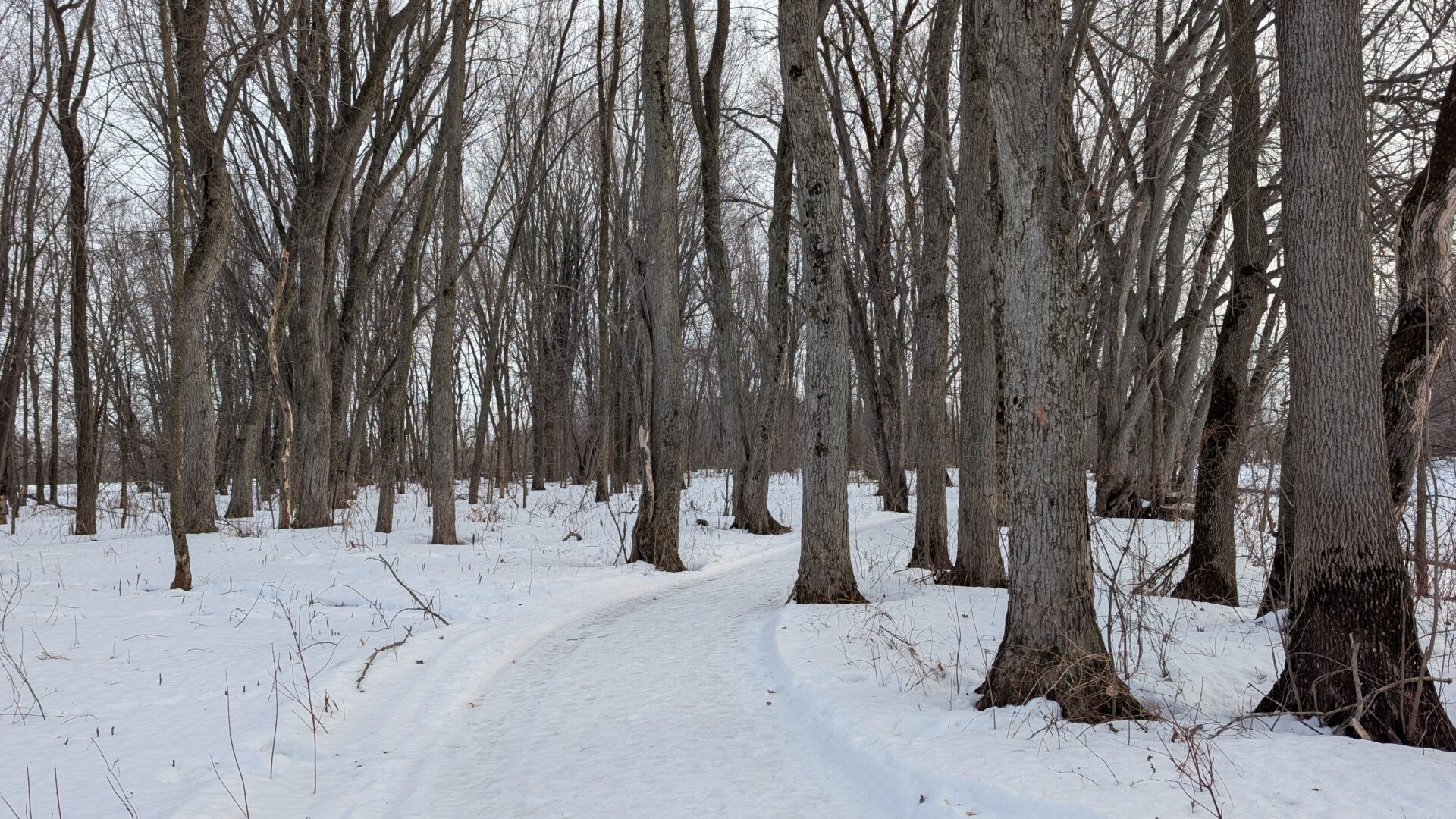 Les sentiers pédestres dans le Parc régional de l’Île du Mitan s’étendent sur environ 10 km.  (Photo Médialo – Jason Joly)