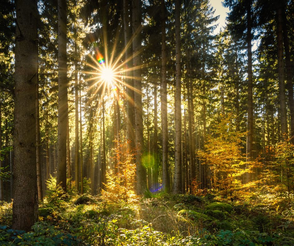 (Photo Médialo -Archives)