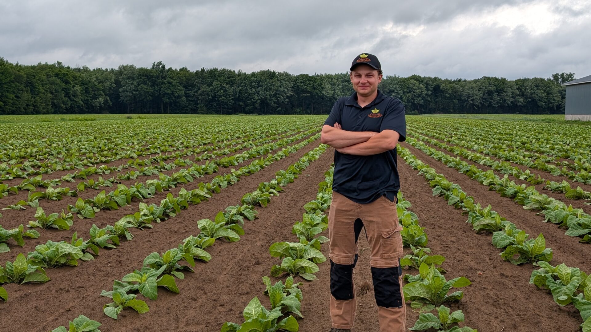 Jocelyn Janson a pris les rênes de la ferme de tabac familiale et est déterminé à faire perdurer cette culture.(Photo Médialo – Jason Joly)
