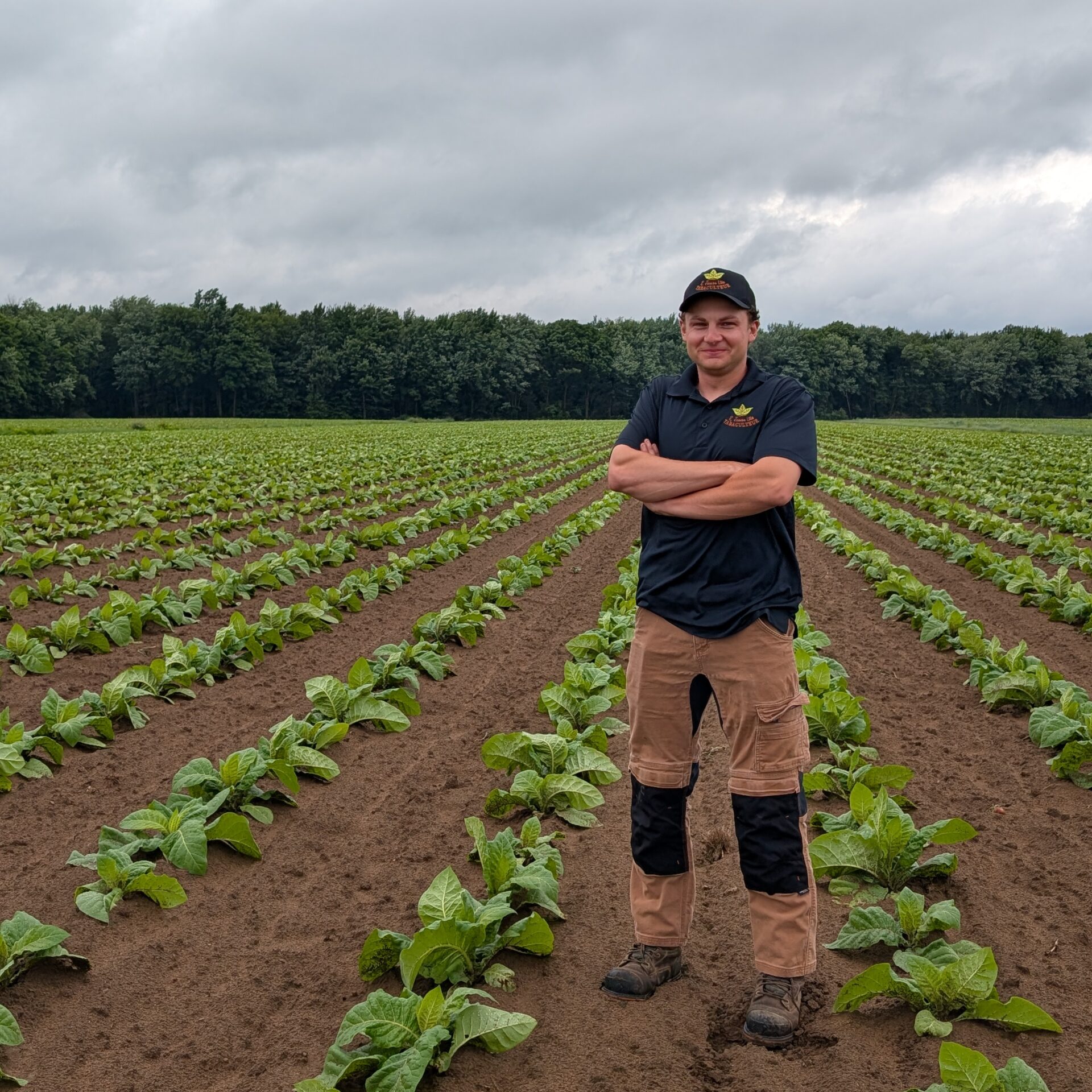 Jocelyn Janson a pris les rênes de la ferme de tabac familiale et est déterminé à faire perdurer cette culture.(Photo Médialo – Jason Joly)