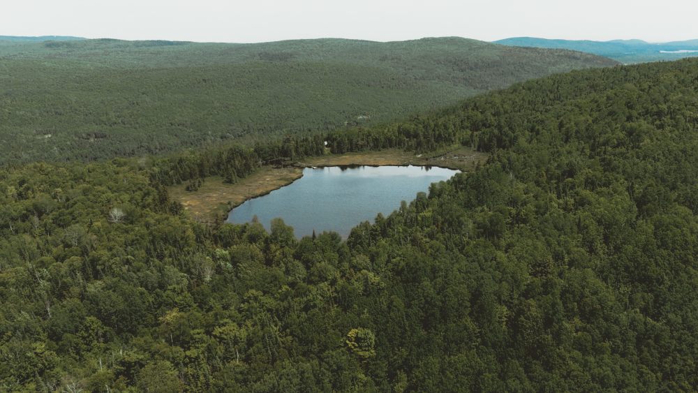 Le projet TAVI s’étale sur un espace naturel de 650 000 pieds carrés. (Photo gracieuseté)