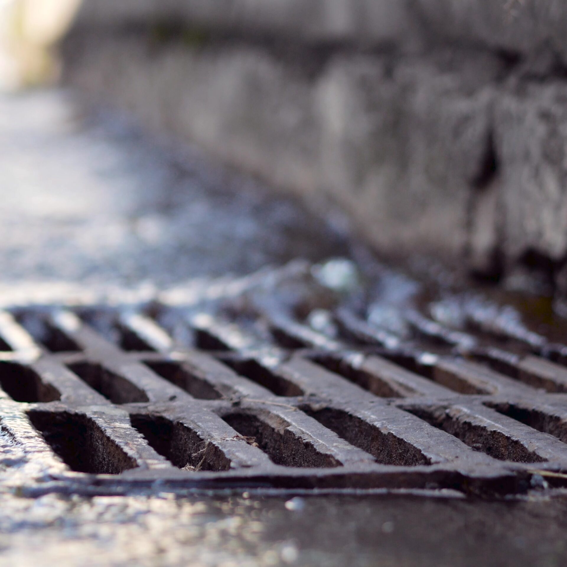 Crédit : Adobe Stock