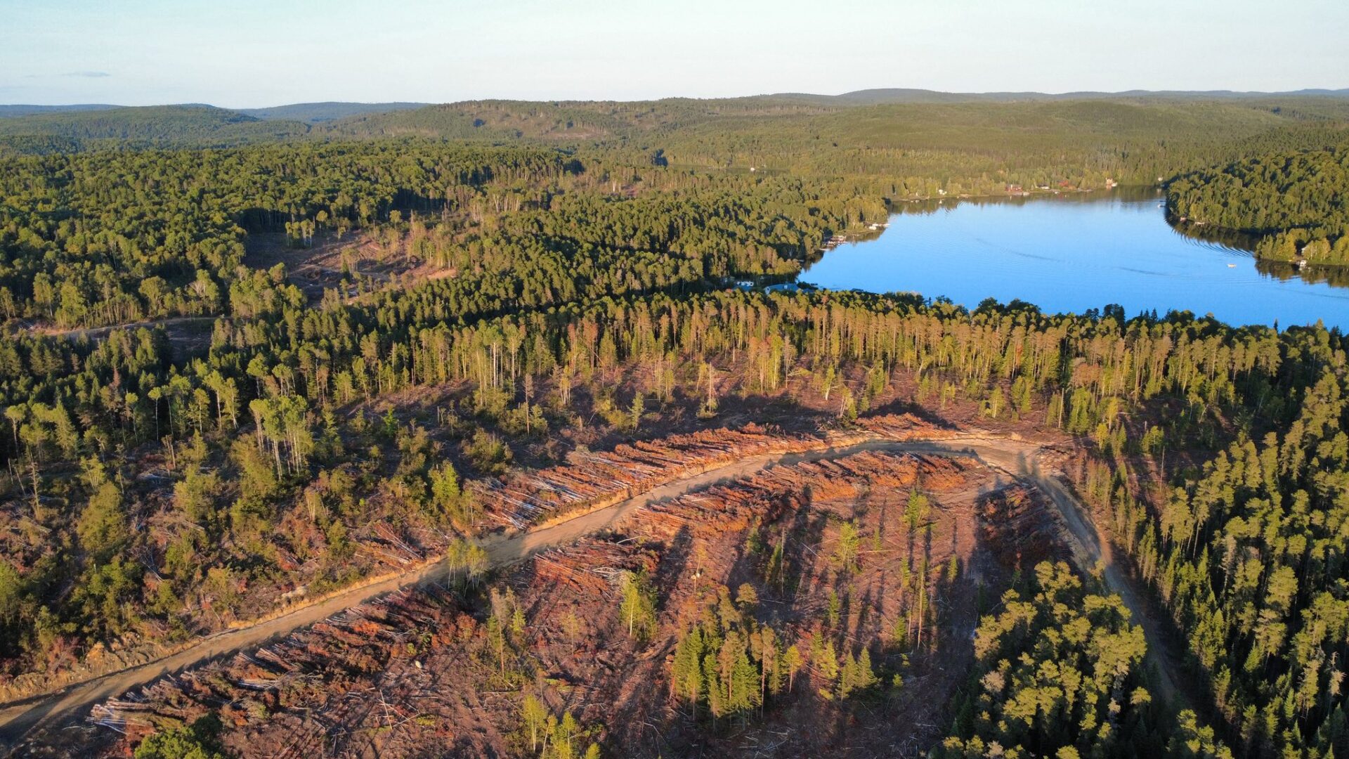 Le site du lac Canot d’Écorce après les coupes forestières. (Photo gracieuseté)