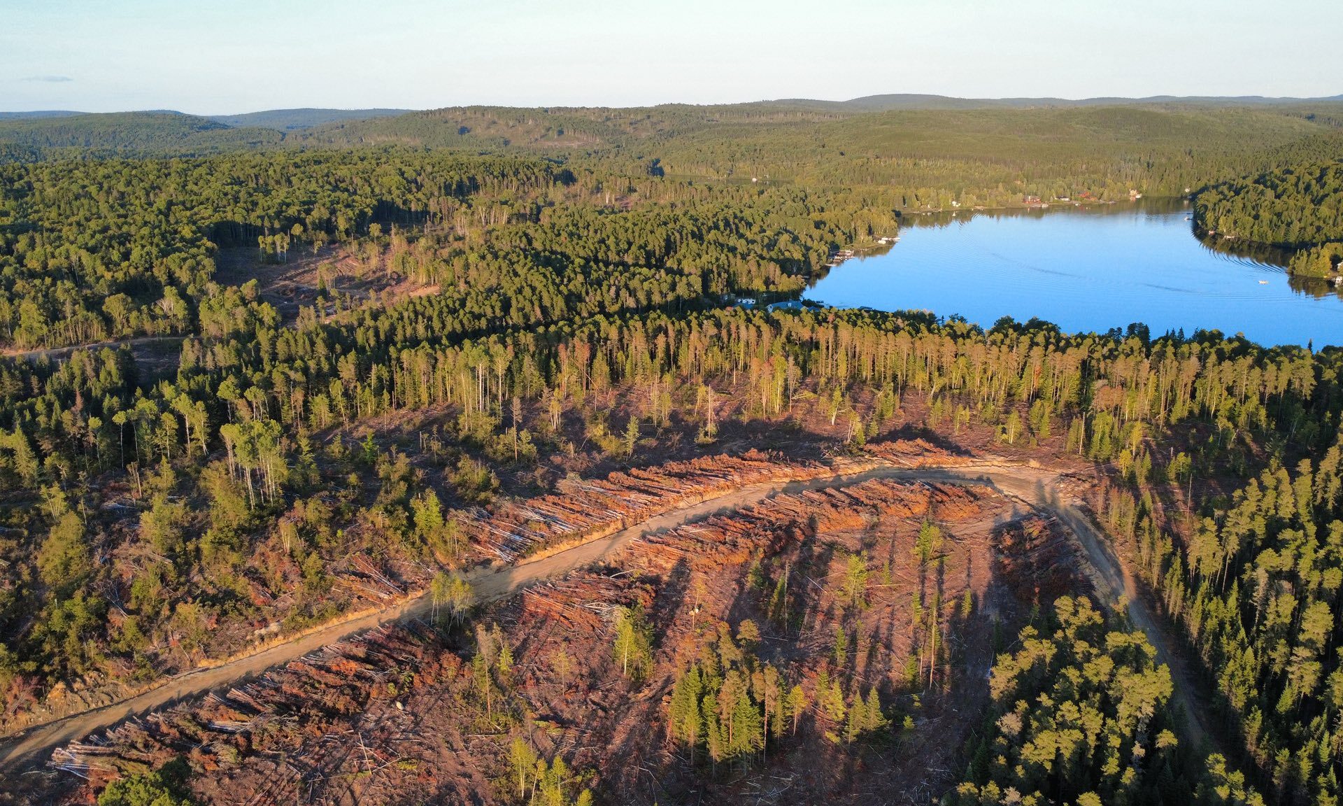 Le site du lac Canot d’Écorce après les coupes forestières. (Photo gracieuseté)