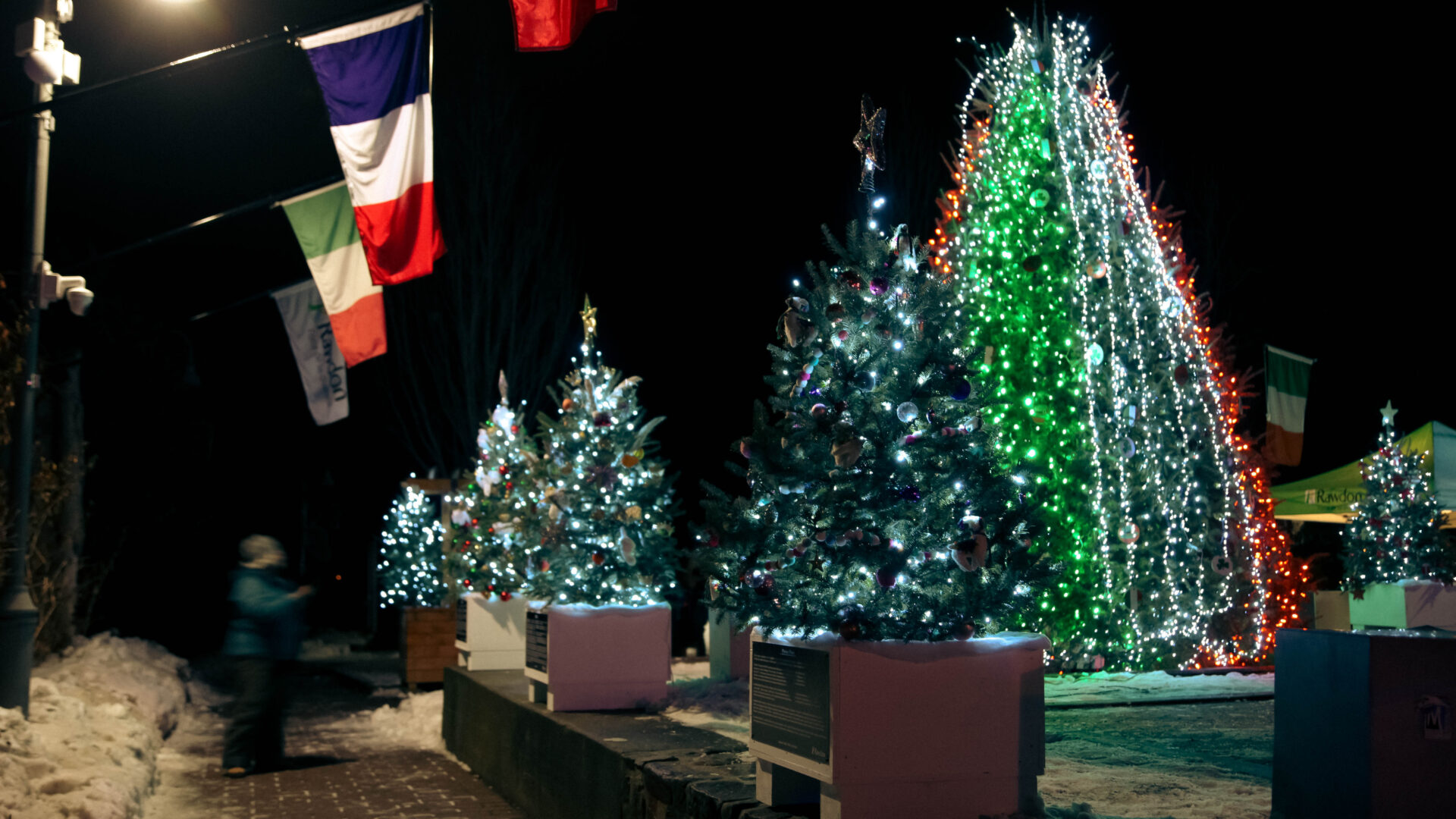 L'exposition des Sapins du monde à Rawdon. (Photo gracieuseté - Estelle Hébert) 