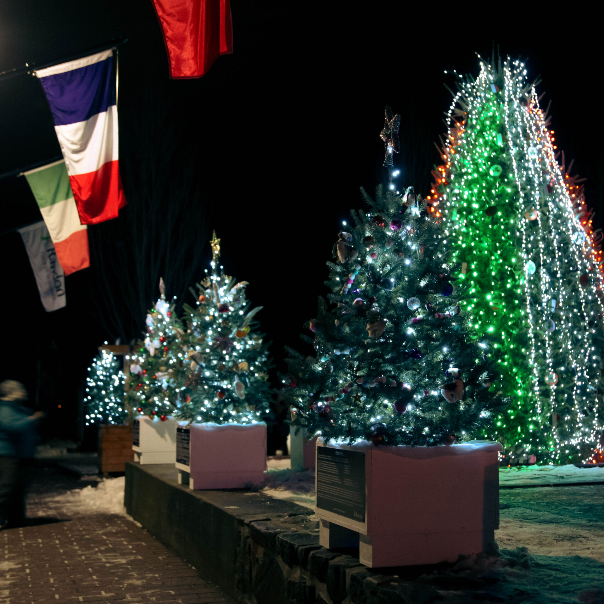 L'exposition des Sapins du monde à Rawdon. (Photo gracieuseté - Estelle Hébert) 