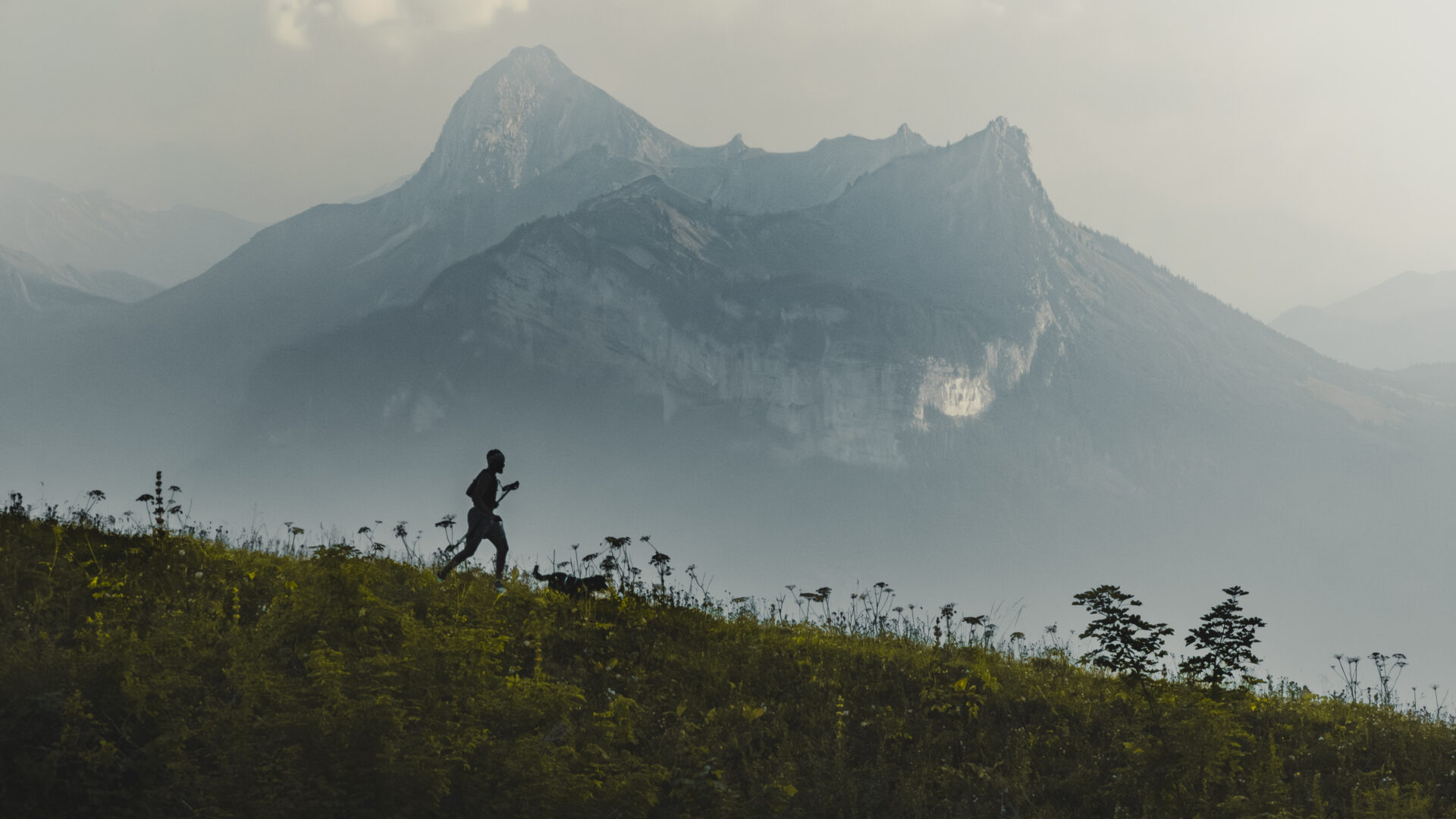 (Photo gracieuseté - Matt Green Talk to Frank (Drone))