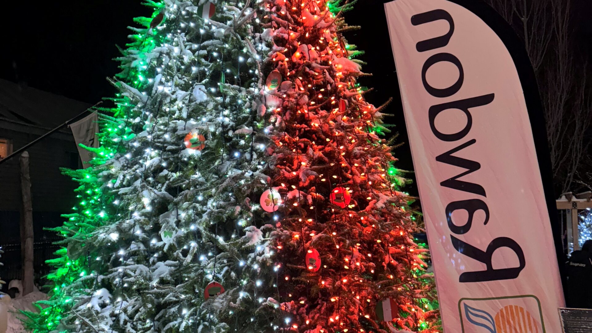 L'illumination de l'exposition des Sapins du monde. (Photo Médialo - Élise Brouillette)