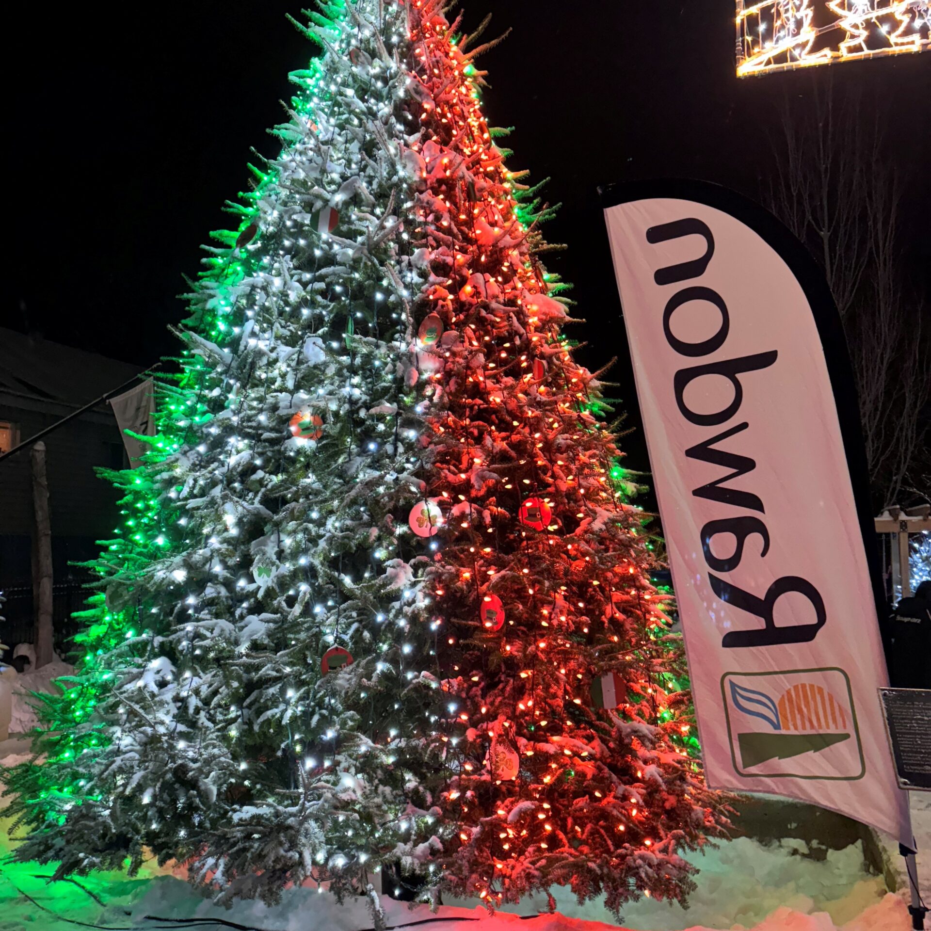 L'illumination de l'exposition des Sapins du monde. (Photo Médialo - Élise Brouillette)