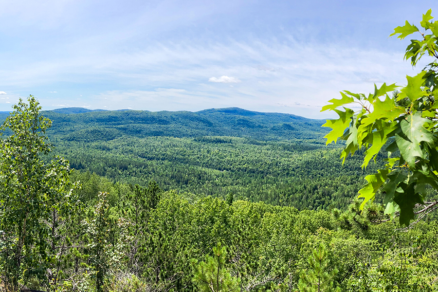 (Photo gracieuseté)