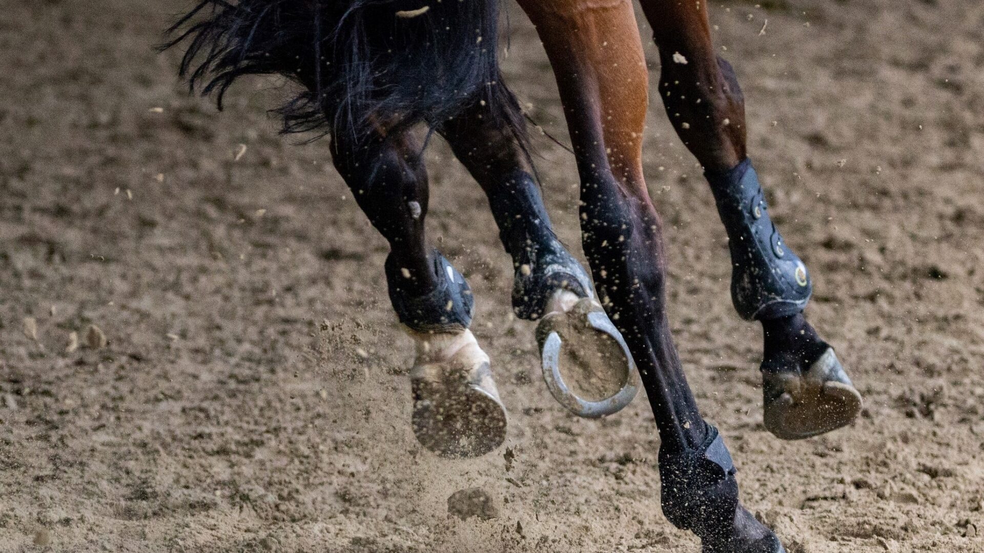 (Photo Unsplash Philippe Oursel)