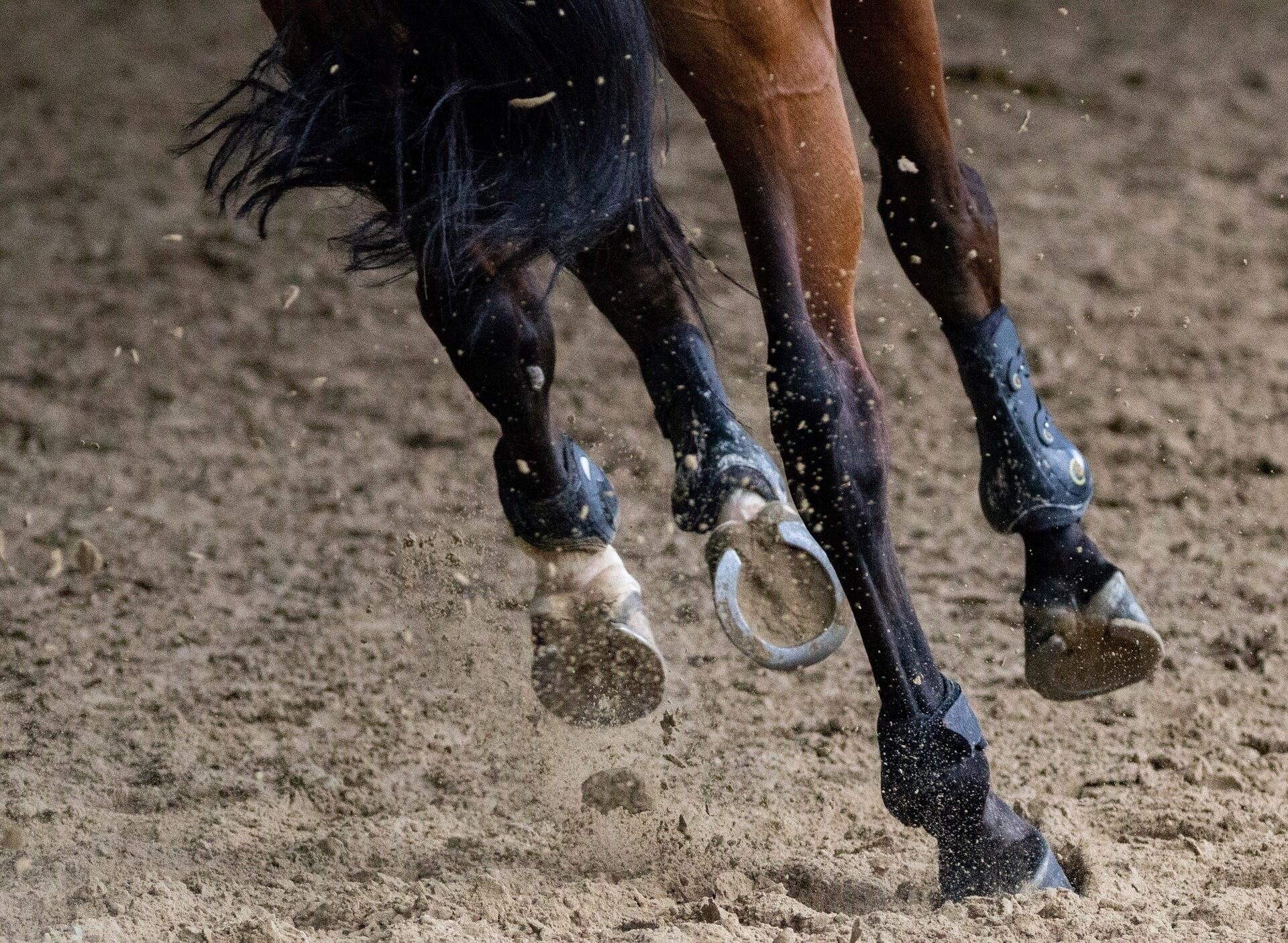 (Photo Unsplash Philippe Oursel)