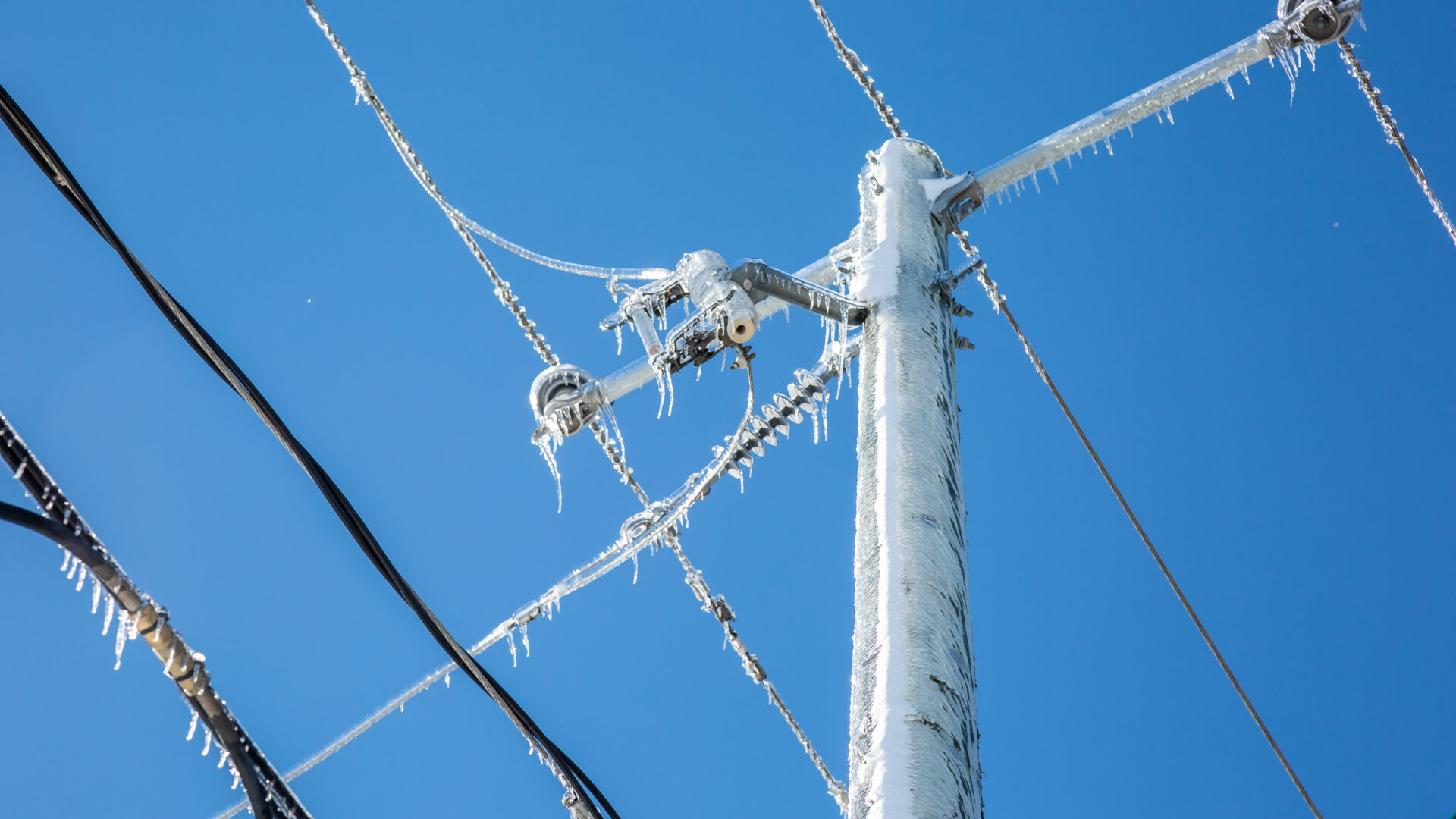 (Photo archives - Caroline Babin)