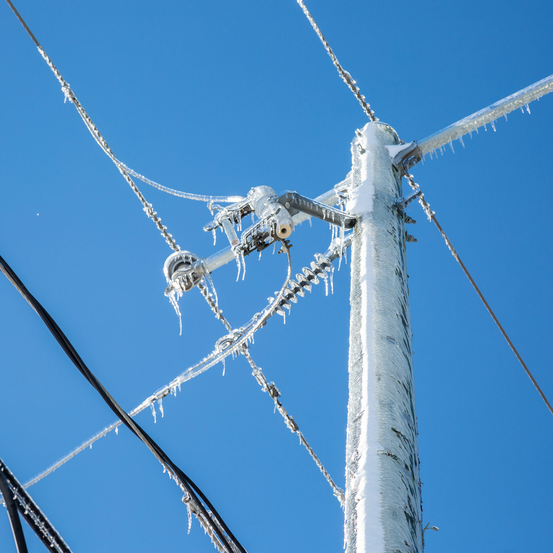 (Photo archives - Caroline Babin)