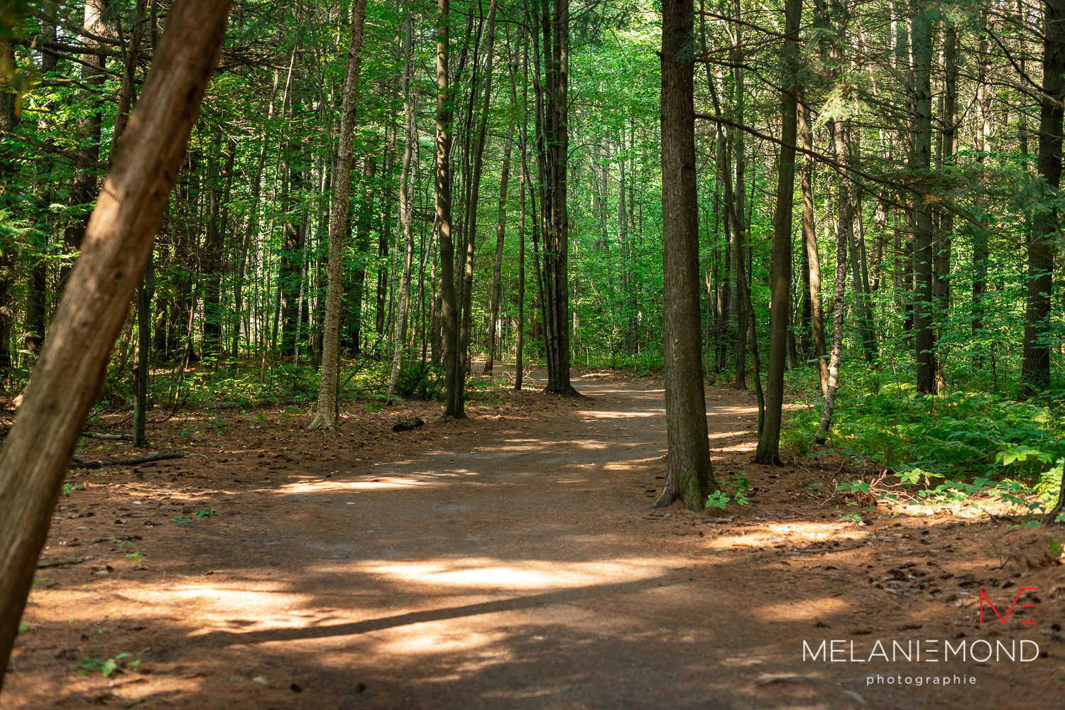 (Photo gracieuseté - Mélanie Emond Photographie)