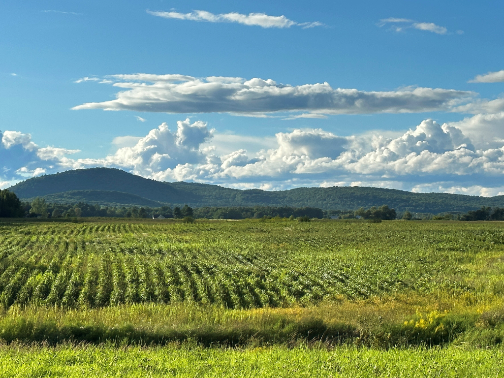 Photo gracieuseté - Sylvie Murray