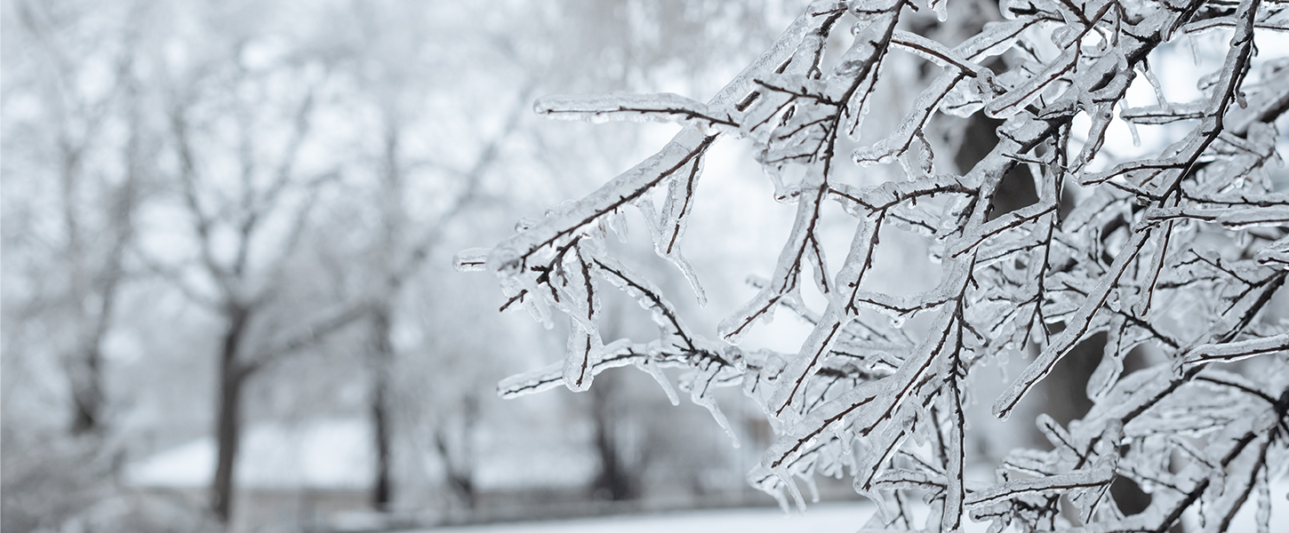 (Photo gracieuseté)