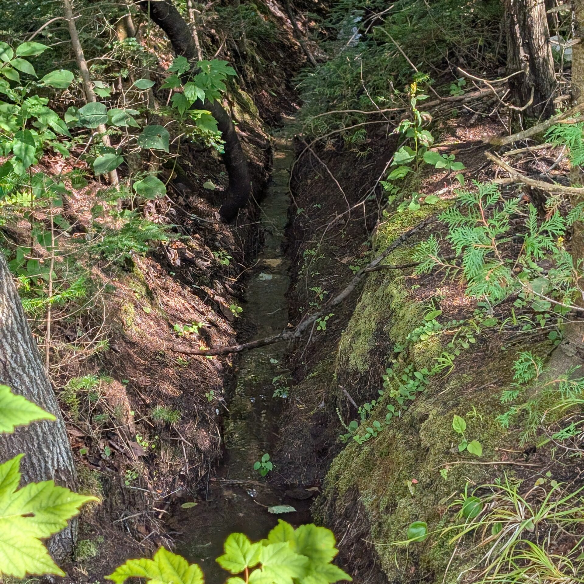 (Photo Médialo – Jason Joly)