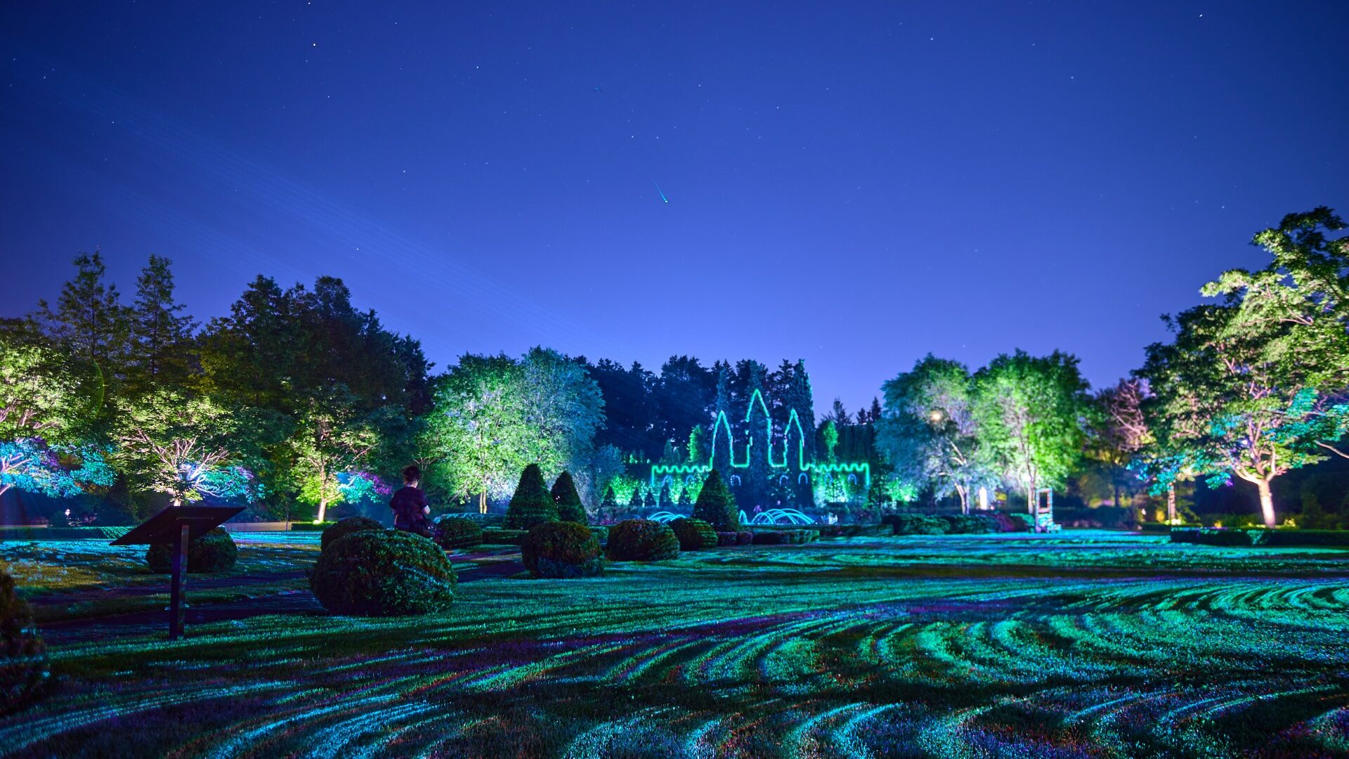 Le projet Allégeance, illuminations, disponible seulement une fois la nuit tombée, propose un parcours qui unit nature et lumière. (Photo gracieuseté – Guillaume Morin)