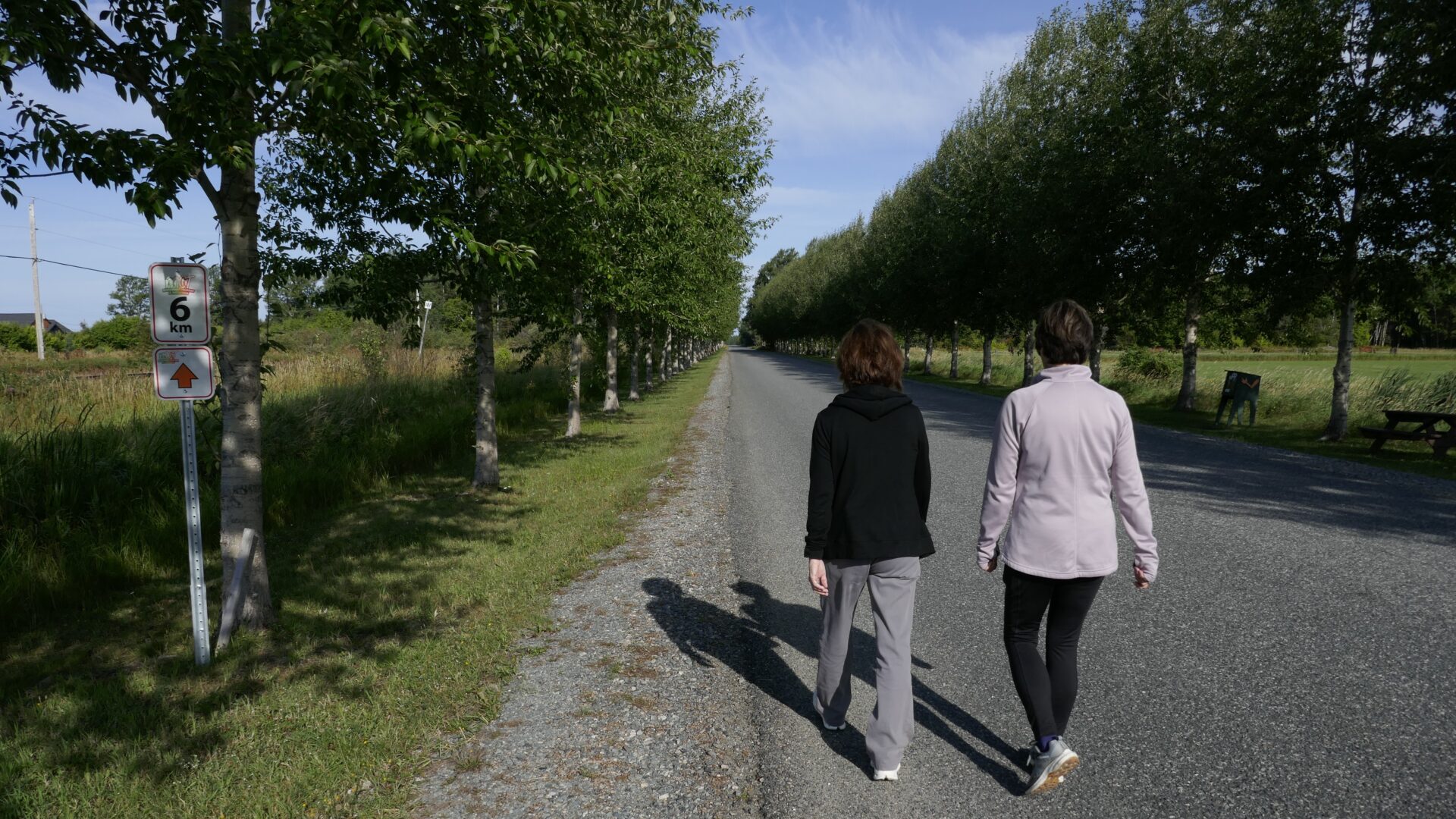Le circuit baptisé « Marchons courons à Trécesson ». 

Photo gracieuseté.