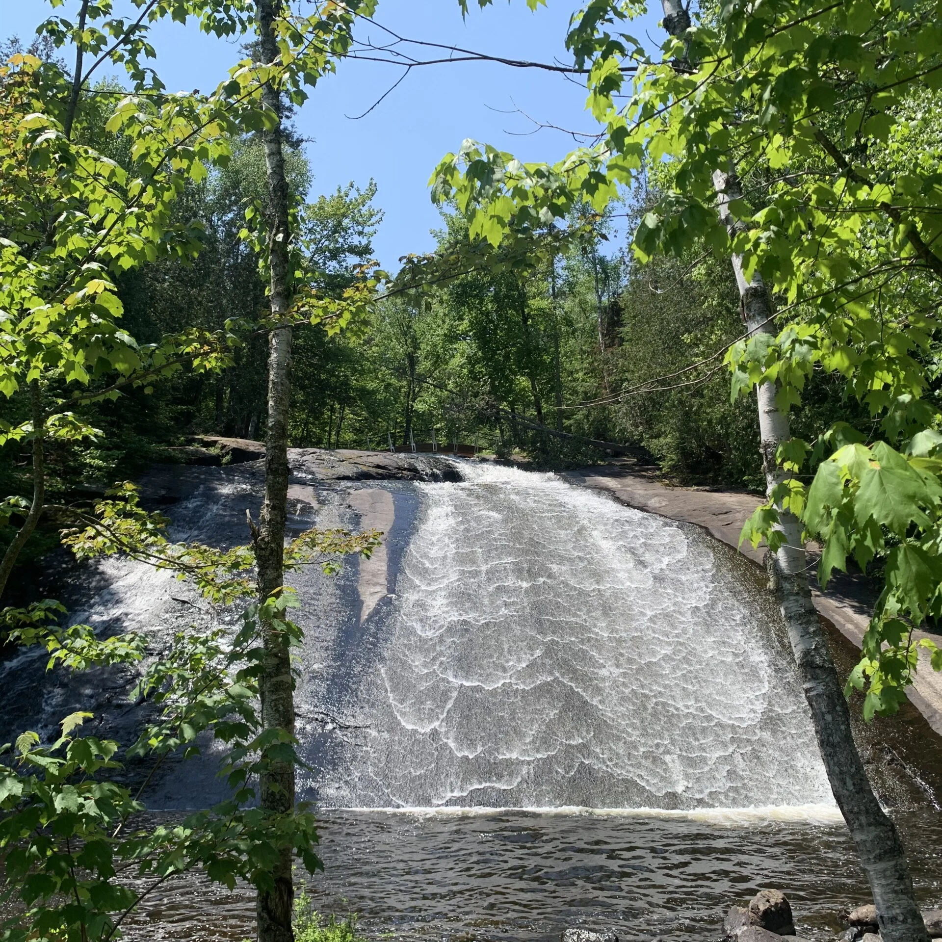 Photo gracieuseté - PRMD